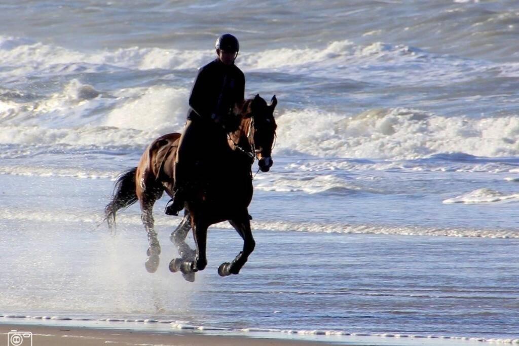 זנדוורט Beachtime Close To The Beach, City Centre מראה חיצוני תמונה