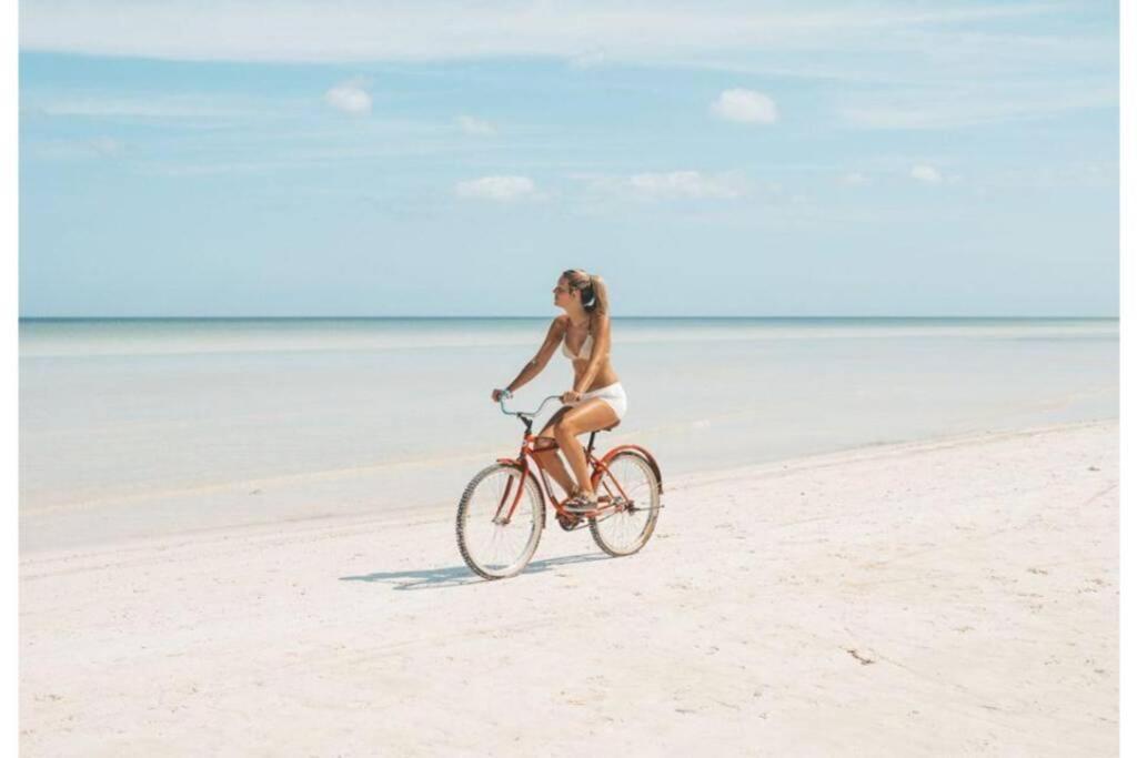 זנדוורט Beachtime Close To The Beach, City Centre מראה חיצוני תמונה